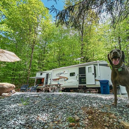 Rv Adventure Roscoe Pet Friendly Hotel Екстериор снимка
