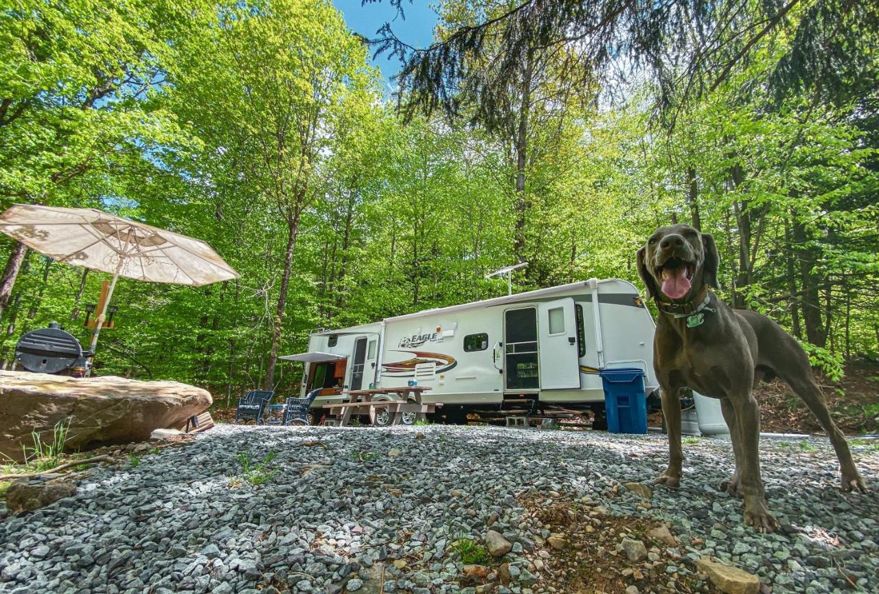 Rv Adventure Roscoe Pet Friendly Hotel Екстериор снимка